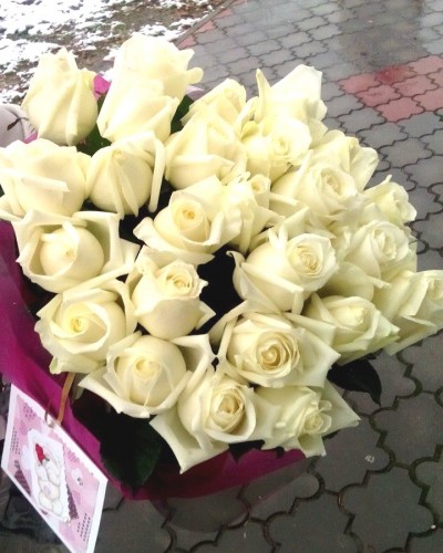25 белых роз в Бресте с доставкой