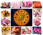 Советы по выбору цветов по знаку зодиака