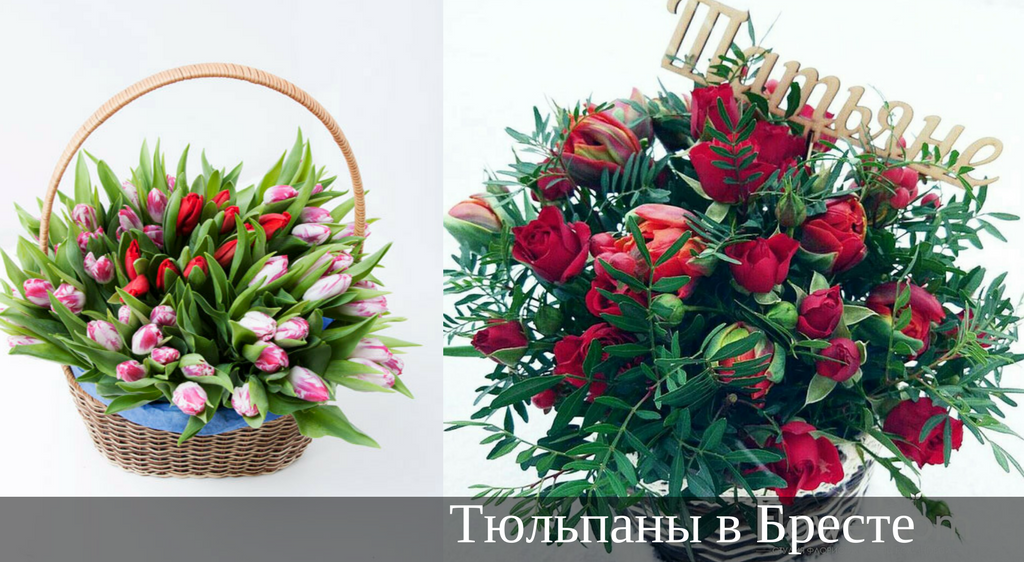 Тюльпаны в шляпных коробках, корзинах в Бресте (2)
