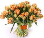 Букет из тюльпанов в Бресте: как выбрать лучший и сохранить дольше?